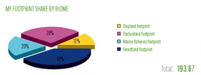 Pie Chart